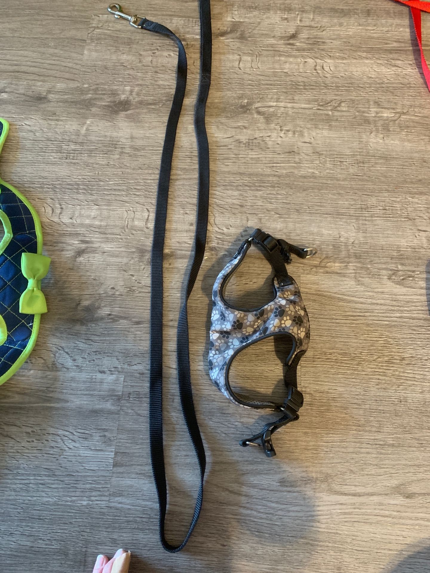 Dog collar and leash