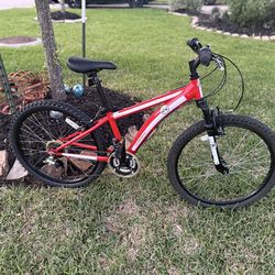 DIAMONDBACK COBRA 24”