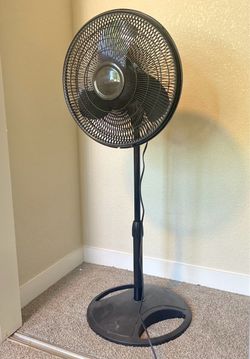 Floor fan