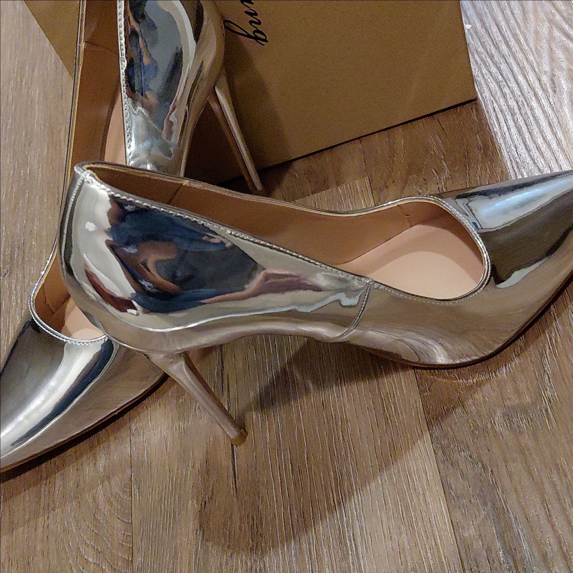 Elizabeth Lang Silver Stilleto Heels