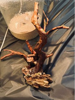 Pre-Built Spiderwood & Dragon Stone Aquascape Centerpiece – Aquarium Ready Hardscape