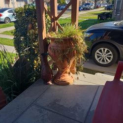 Plant Stand With Plant