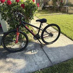 24 inch mountain bike
