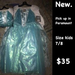 Elsa disney store costume