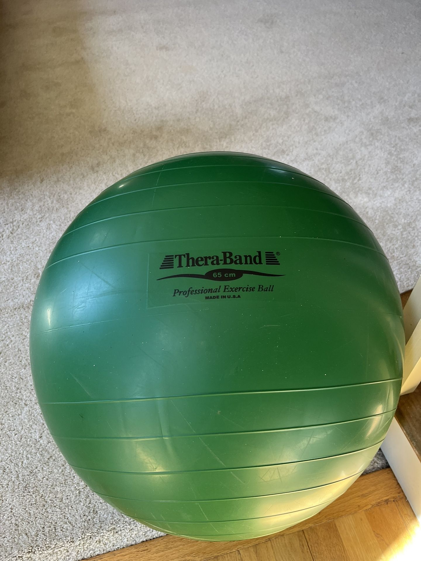 Thera-Band 65 cm Exercise Ball