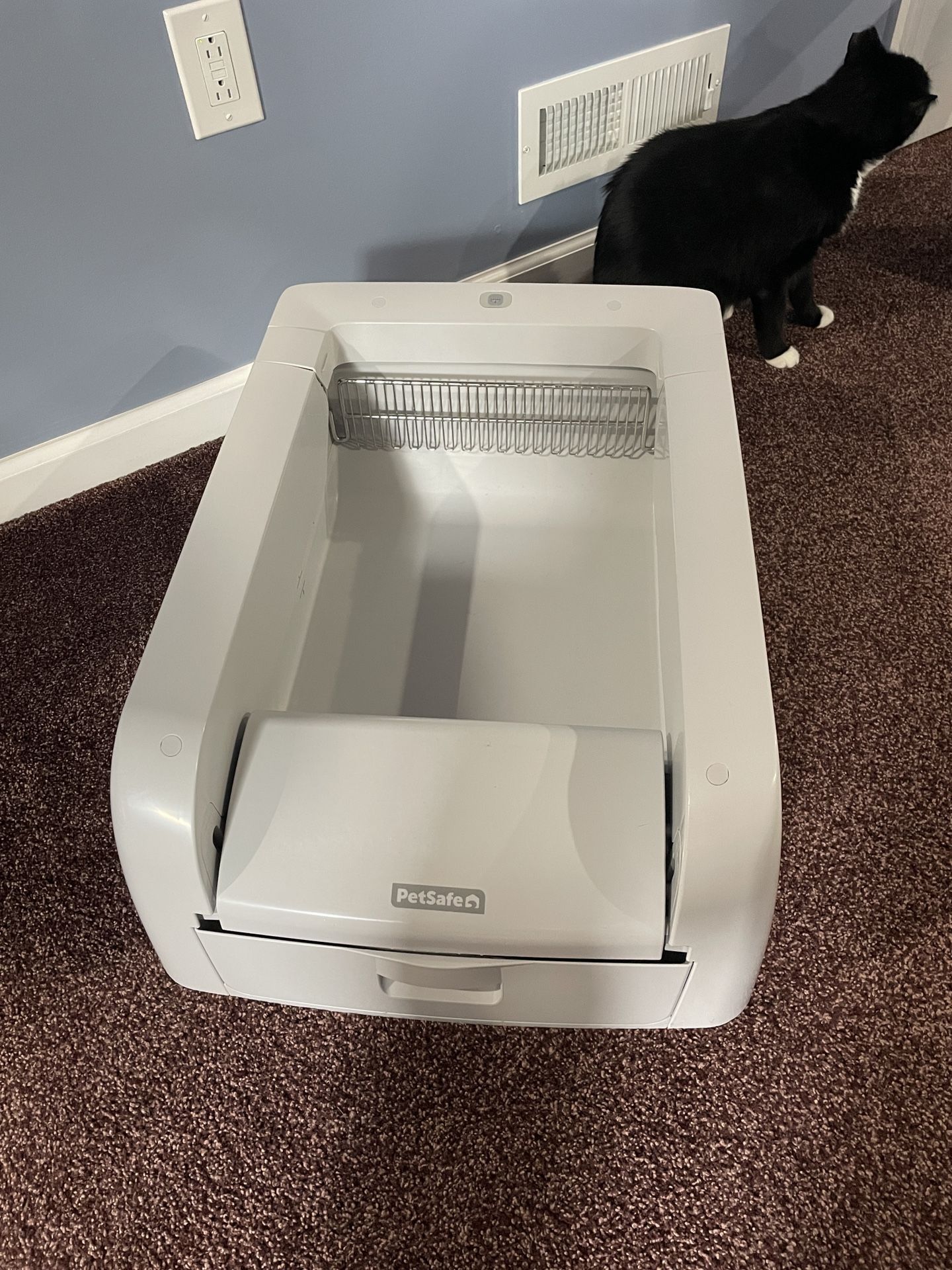 PetSafe ScoopFree® Clumping Self-Cleaning Litter Box for Clumping Litter - Superior Odor Control