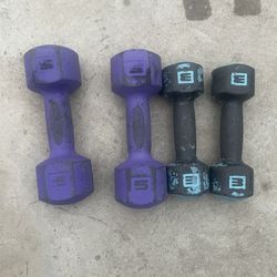 Exercise weights  16 pounds