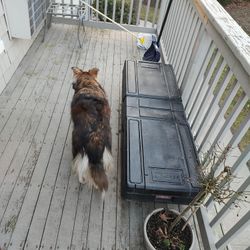 Weather Proof Storage Tuff Box