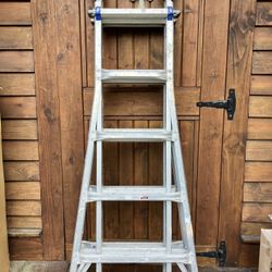 Werner Aluminum Ladder 21’ 300 Lbs
