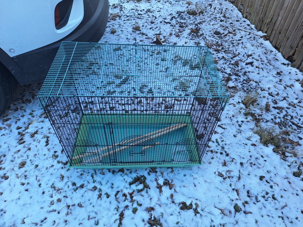 Bird Cage