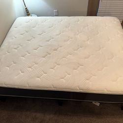 Full Size Queen Mattress For Sale! 