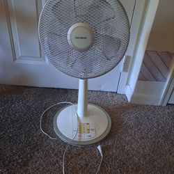Oscillating Fan