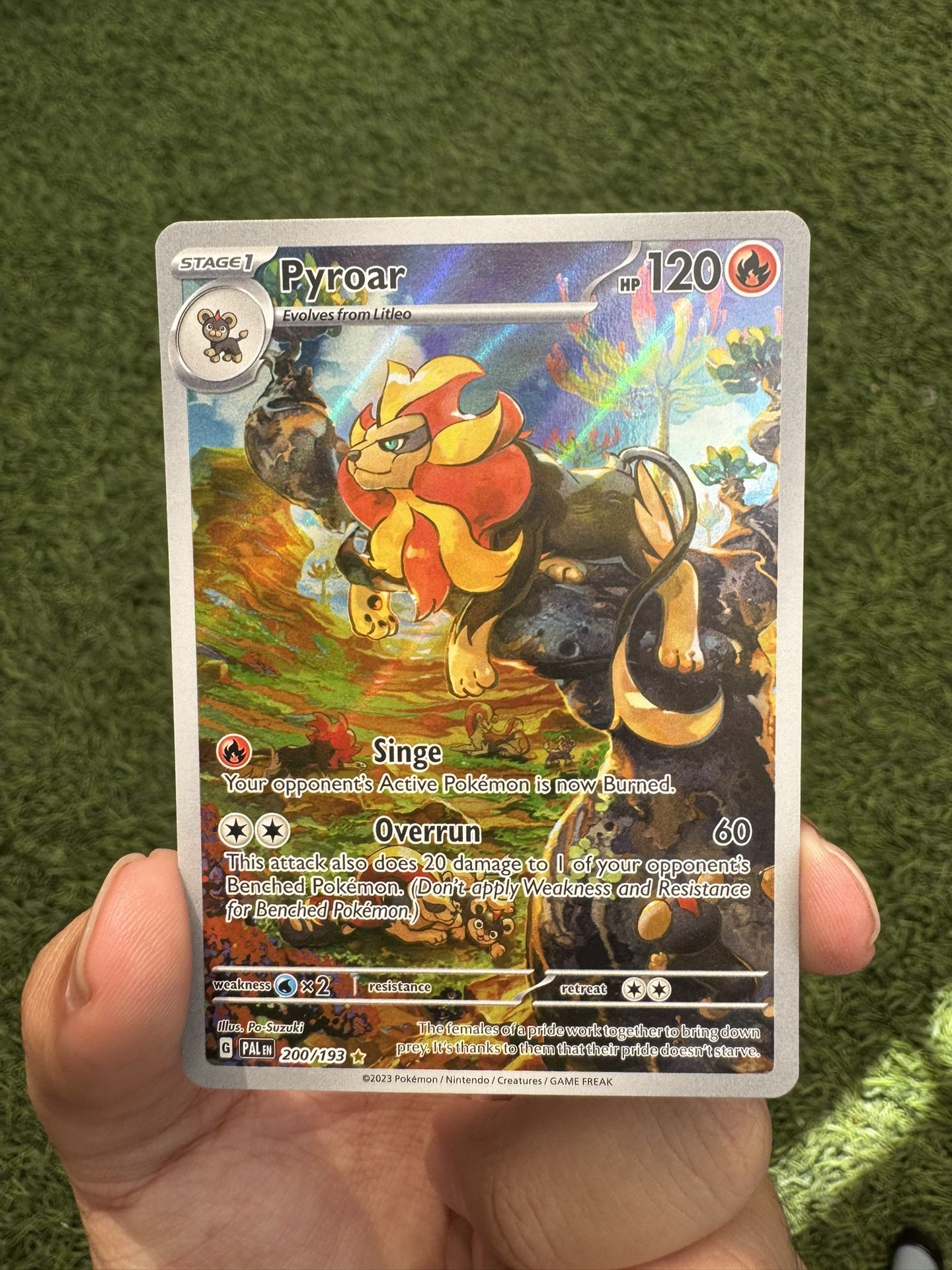 Pokemon Cards/Singles - Pyroar IR