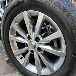 4- UNIROYAL TIGER PAW 