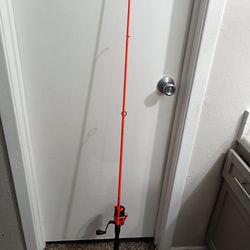 Fishing Pole With Reel