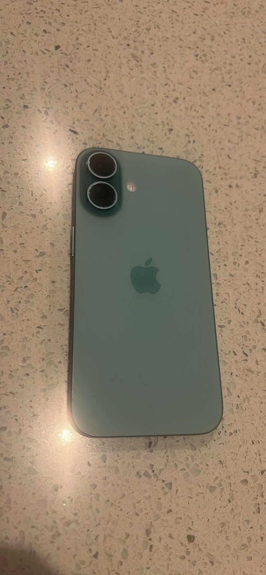 iPhone 16 Teal Cricket
