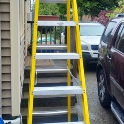 Fiberglass Ladder 