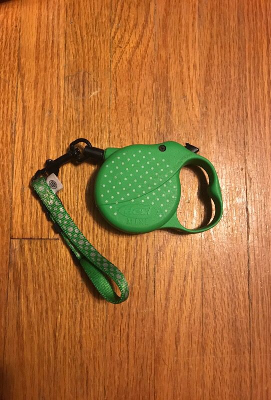 Puppy dog collar and retractable leash