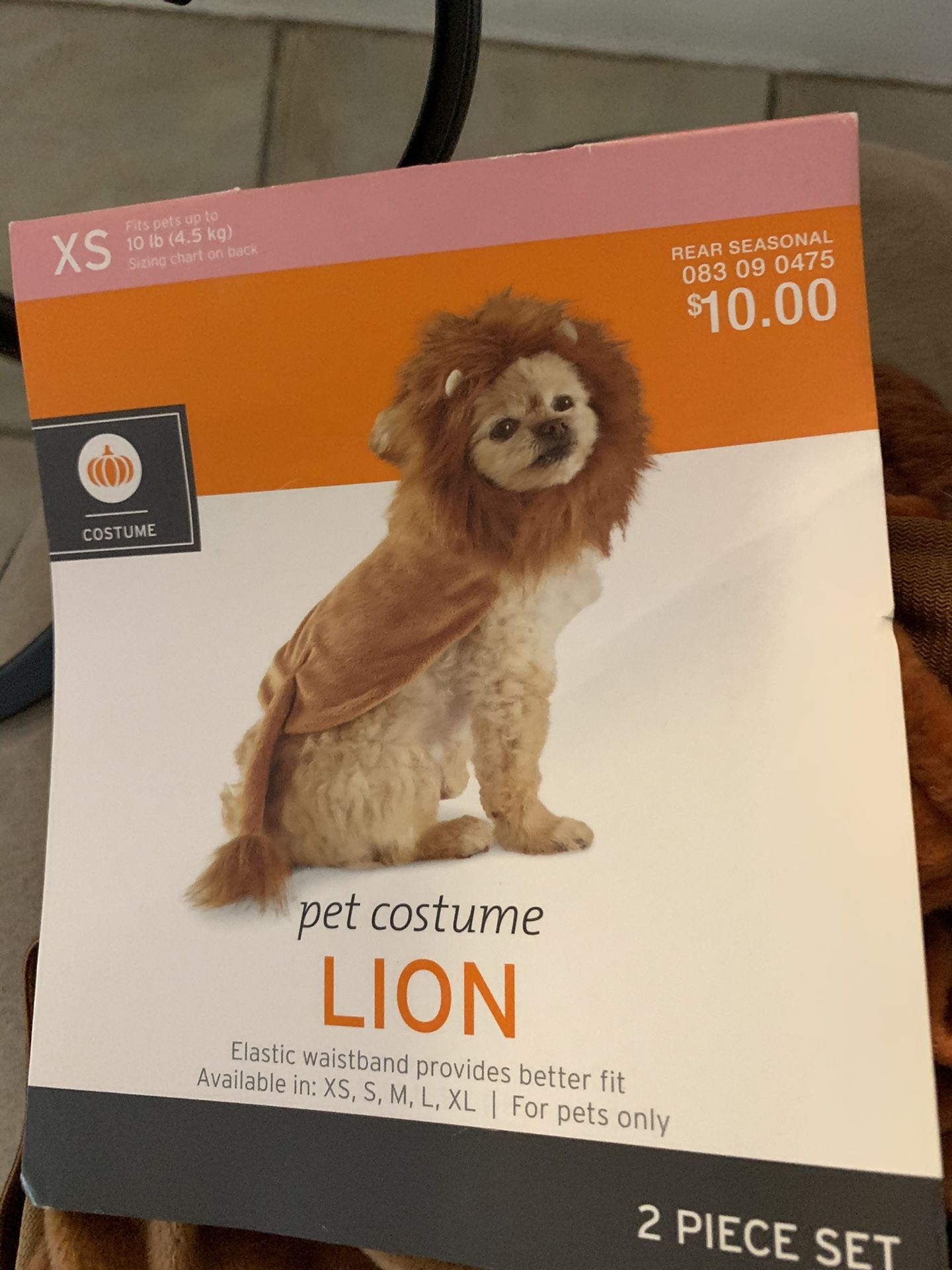 Little dog lion costume