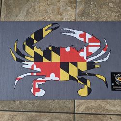Brand New Floor Mat