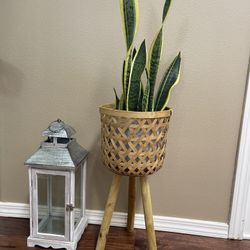 Rattan Plant Stand Boho