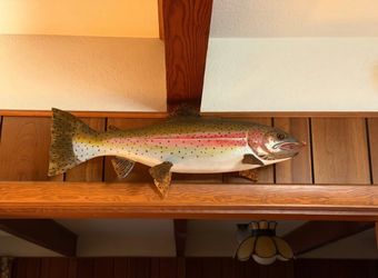Large Mounted Rainbow Trout Taxidermy Wall Mount Fishing Cabin Decor
