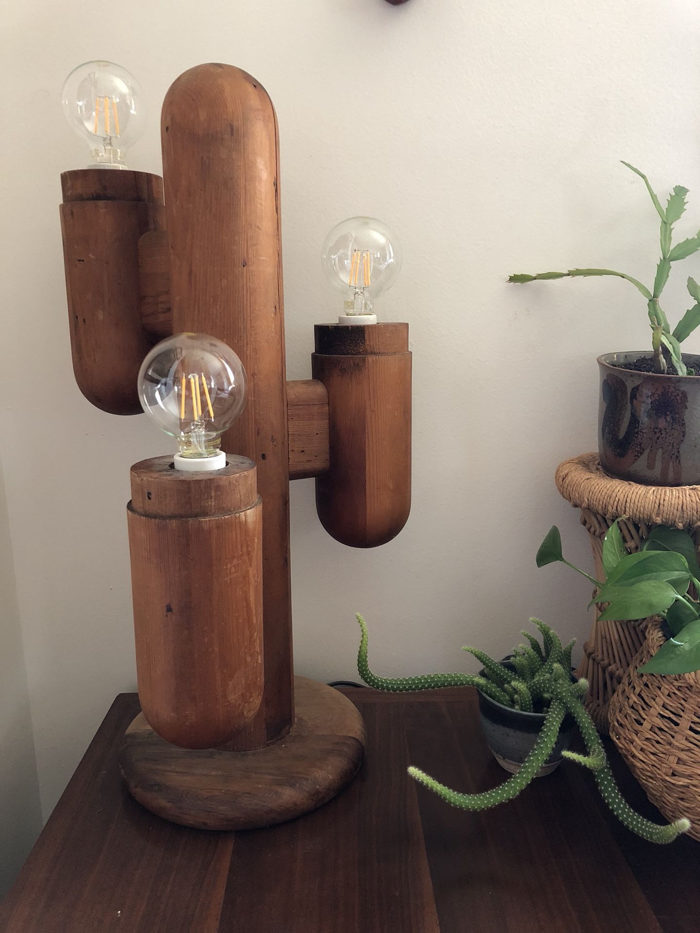 Modeline sale cactus lamp