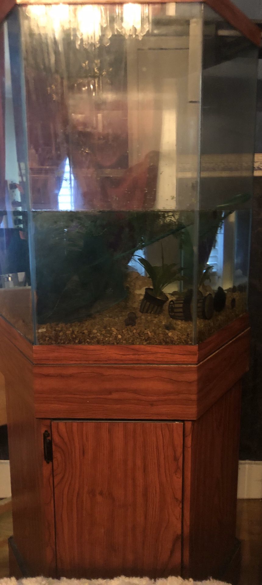 45 gallon Hexagon Fish aquarium with wooden cabinet stand