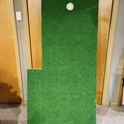 Indoor Putting Green