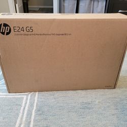 Computer Monitor 
