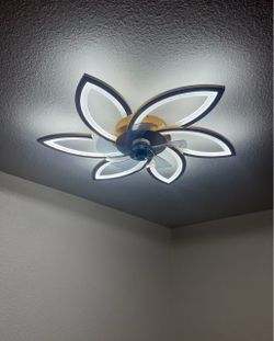 TV Wall Mount - Ceiling Fans