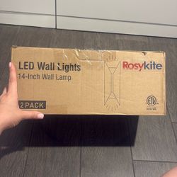 LED Wall Lights 2 pack 