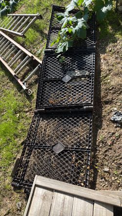 Dog fence