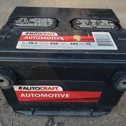 Autocraft Car Truck Battery Group 75 Side Post