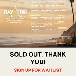 Daytrip wristband 
