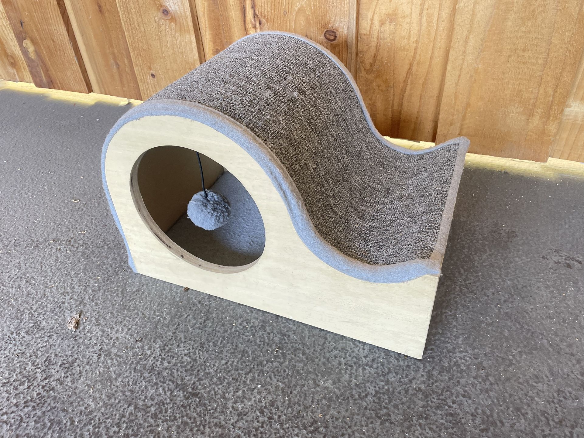 Kittens First Toy