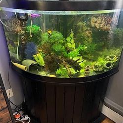 Beautiful Corner Fish Tank With Storage Below