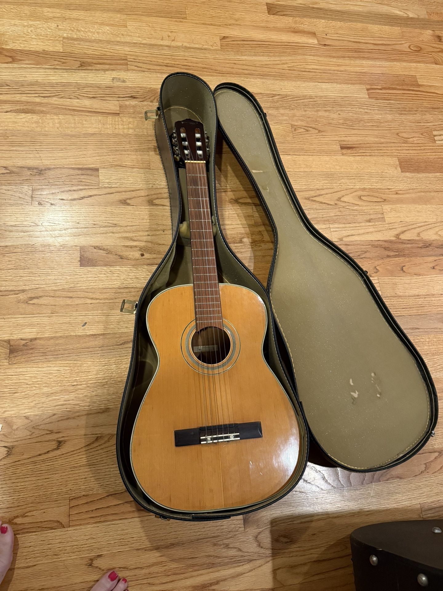 6 String Acoustic Guitar 