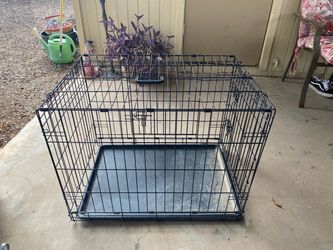 Metal Dog cage