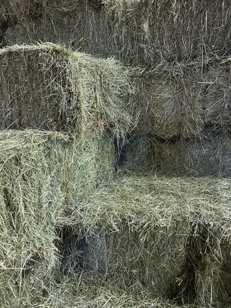 Quality Grass Hay