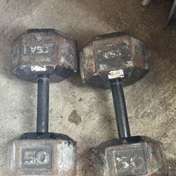50 Pound Dumbells