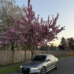 Audi a6 Prestige 3.0 Supercharger Quattro 