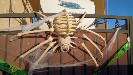 Giant Skeleton Spider Halloween Decoration