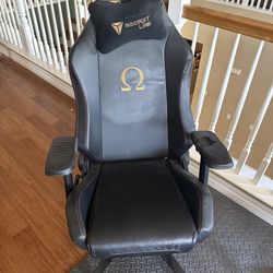 Secret Lab Omega Gaming Chair With Head Pillow