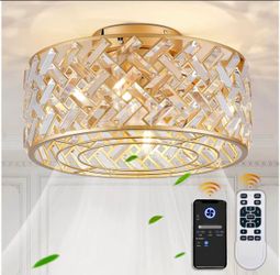 18 Inch Caged Ceiling Fan with Light