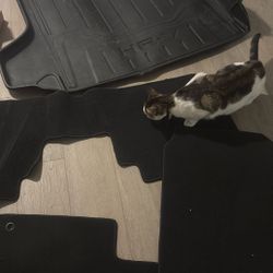 honda car mats