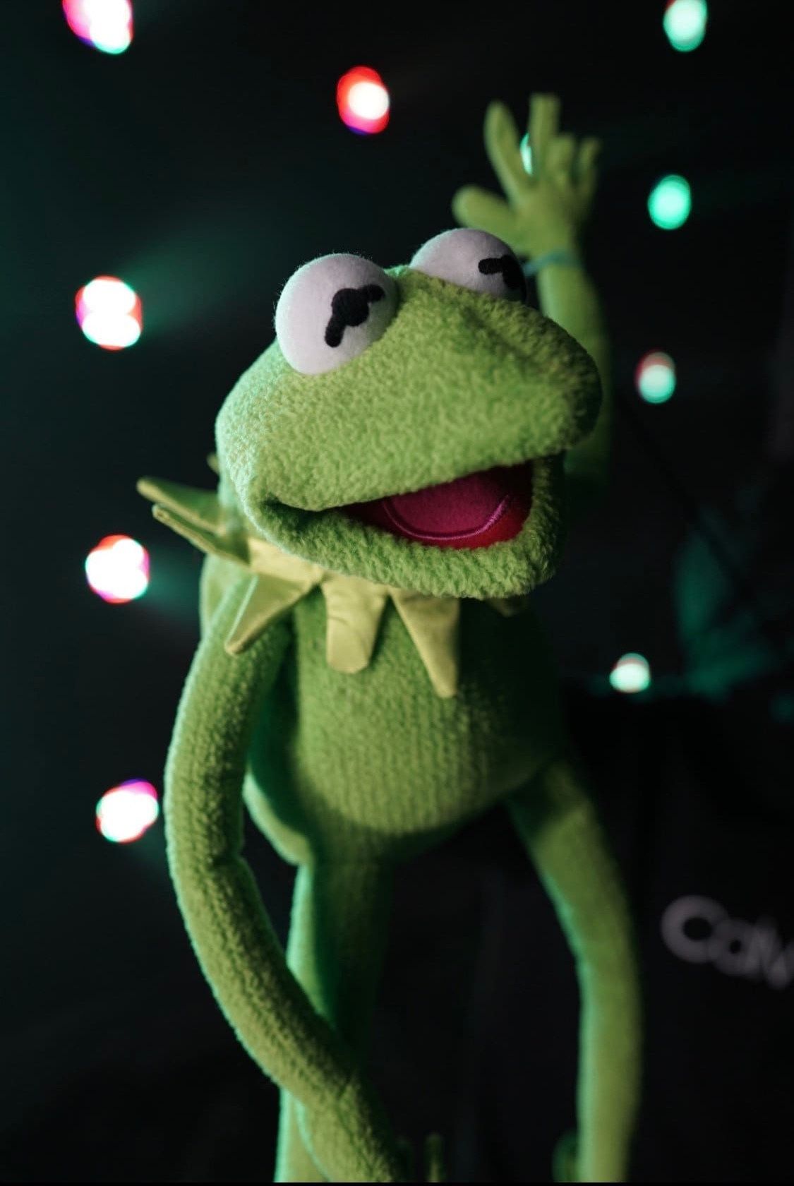 Kermit the frog puppet
