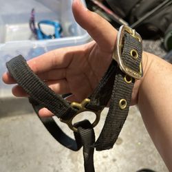 Heavy Duty Sheep Harness