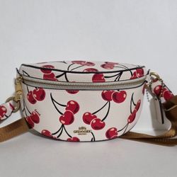 Coach Cherry Bag 