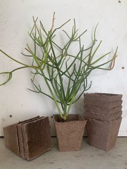 Plant pot tools